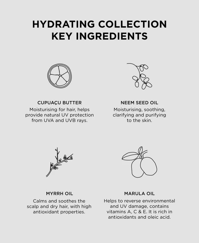 Infographic of hydrating collection key ingredients with icons and descriptions on a light gray background.
