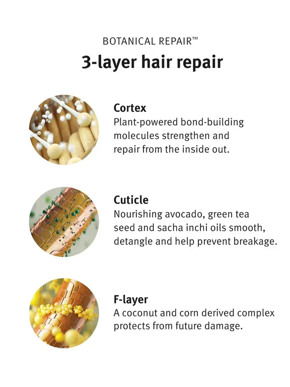 An informational graphic titled 'Botanical Repair 3-layer hair repair' on a white background, with three circular inset photos and text describing how the product repairs the cortex, cuticle, and F-layer.
