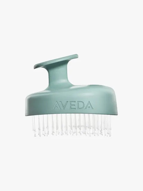 A VEDA pet grooming brush with a matte sage green handle and clear nylon bristles, shown against a plain white background.