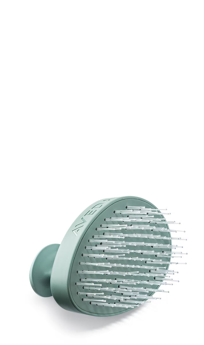 scalp brush aveda