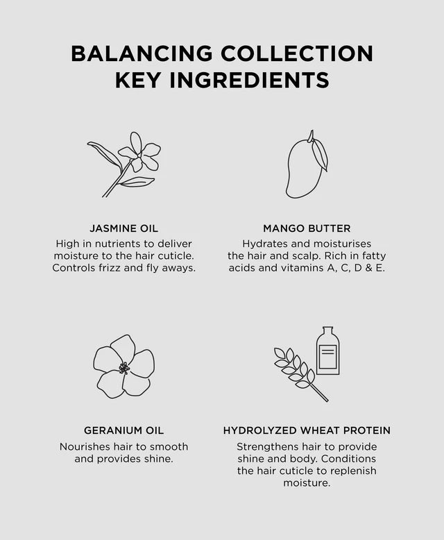 Balancing collection key ingredients with icons and descriptions on a gray background