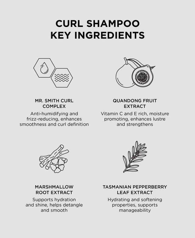 List of curl shampoo key ingredients with illustrations and descriptions on a gray background