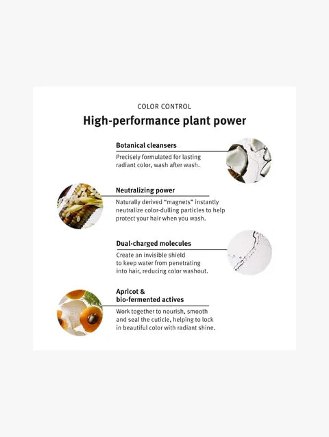 An informational graphic titled 'COLOR CONTROL High-performance plant power' on a white background, with text describing botanical cleansers, neutralizing power, dual-charged molecules, and apricot & bio-fermented actives, accompanied by small ingredient photos.